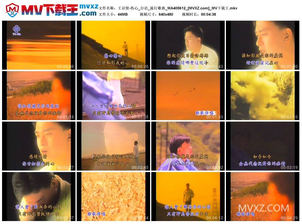 王识贤-伤心_台语_流行歌曲_MA405612